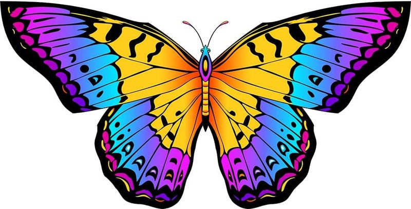 Honbo Butterfly Kites for Kids & Adults,55" x 28" Large Beginner Kite for Kids Ages 4-8,Easy to Fly for Beginners, Each Kite with 300ft Line Handle,Beach Kites for Outdoor Activities & Family Trip - Image 5
